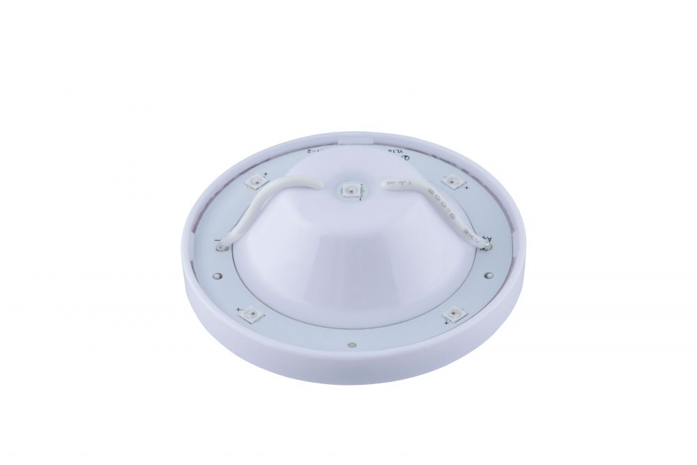 LED5ハイパワーマーカーユニット 12/24V共用 ブルー